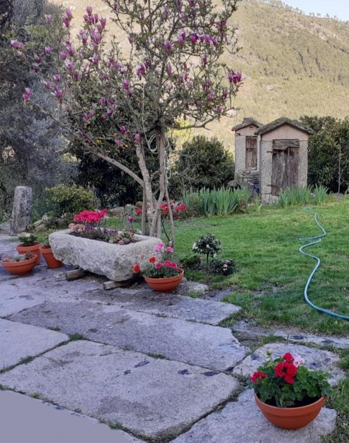 Villa Dos Santos - Gerês Country House Extérieur photo